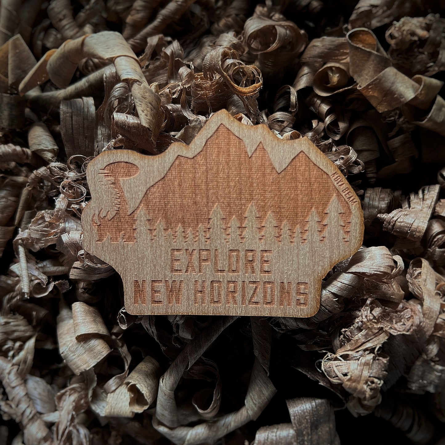 Explore New Horizons || Wood Sticker